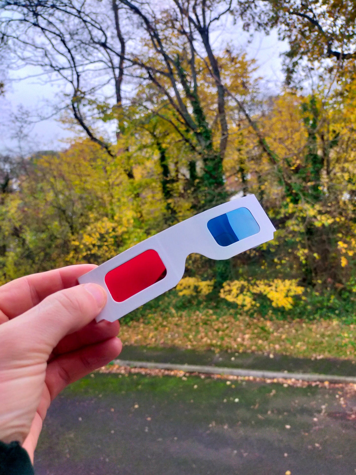 3D Glasses