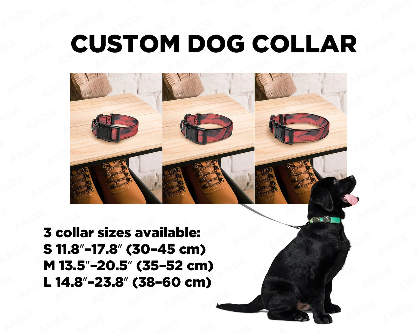 Custom Dog Collar & Leash