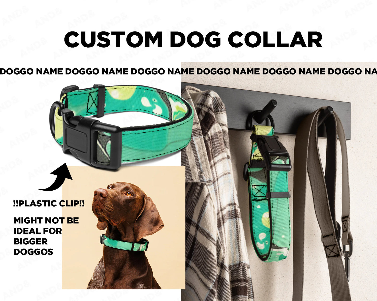 Custom Dog Collar & Leash