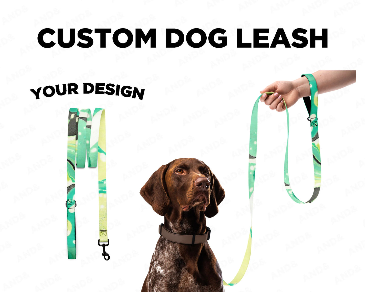 Custom Dog Collar & Leash