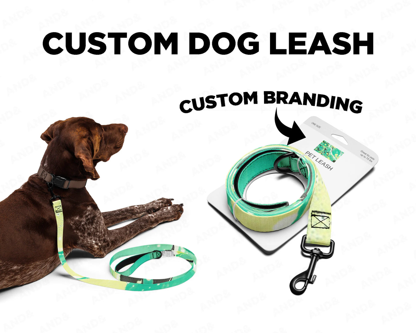 Custom Dog Collar & Leash
