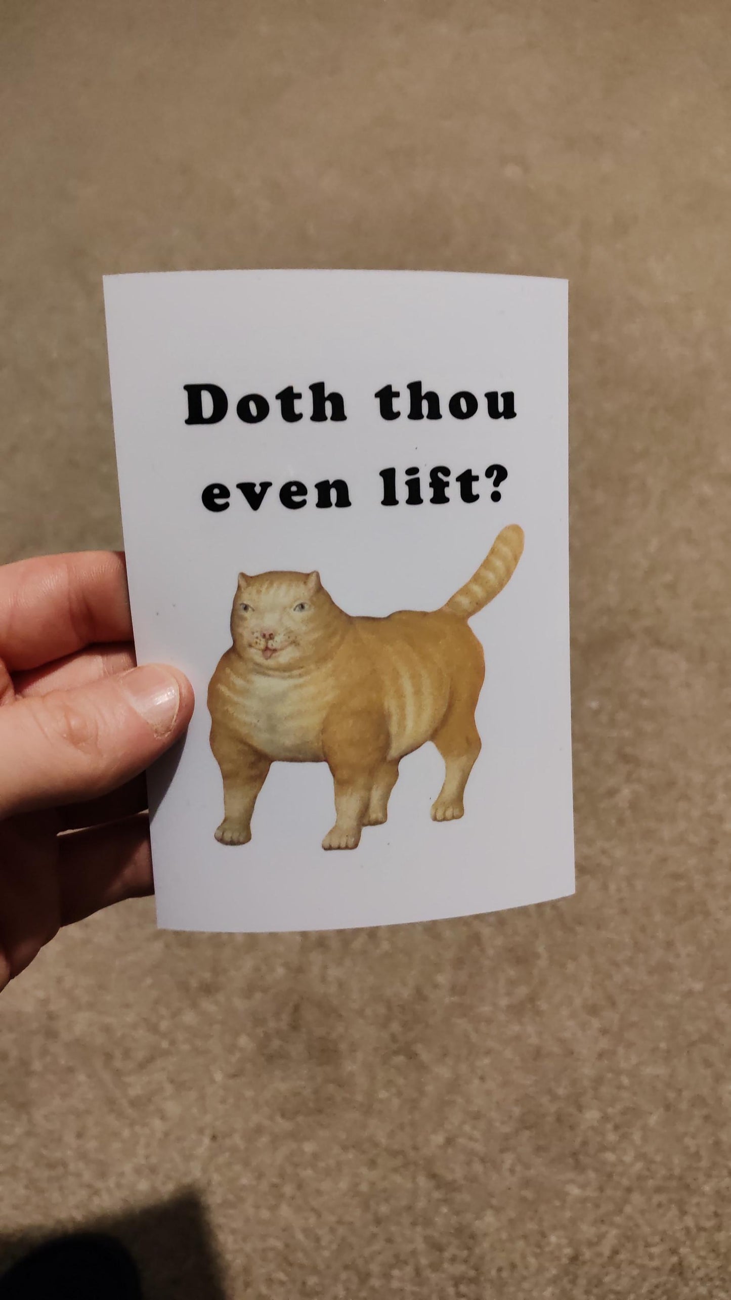 Do you even lift bro? Magnet